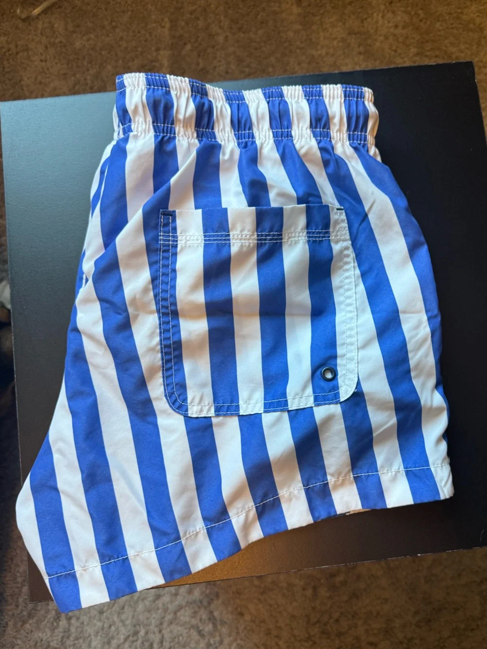 Men's Blue and White Striped Swim Shorts